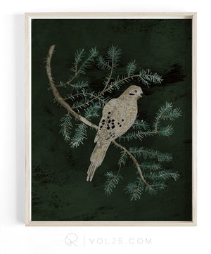 Dove Struck | Textured Cotton Canvas Art Print, several sizes | VOL25