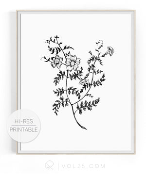Foxgloves | High quality Large scale printable art
