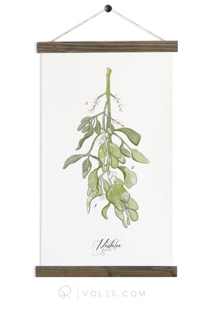 Mistletoe Study | Seasonal Art Decor - Canvas Wall Hanging | More options