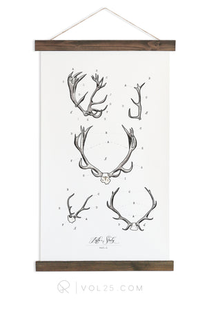 Wall Hangings / The Heirloom Collection