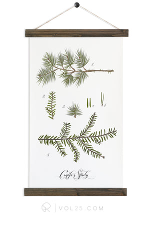 Conifer Study Vol. 5 | Canvas Wall Hanging | More options