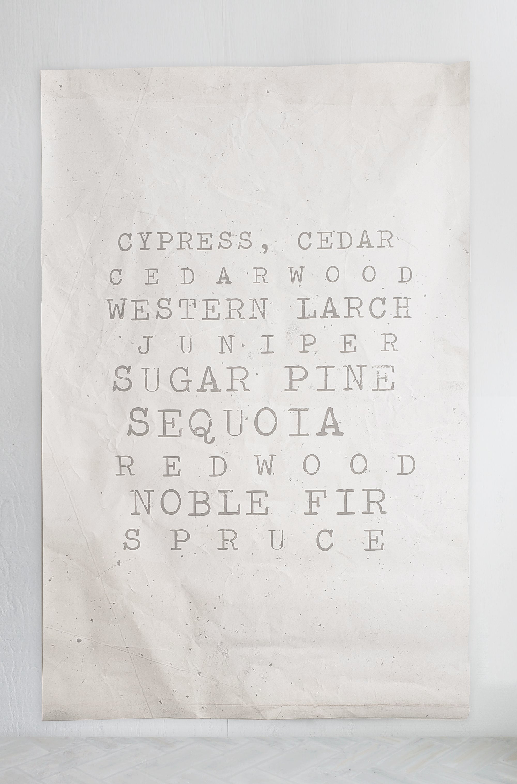 The Evergreen Chronicles |  Canvas Hand Distressed Tapestry | more options