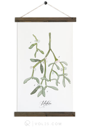 Mistletoe Study Vol.2 | Canvas Wall Hanging | More options