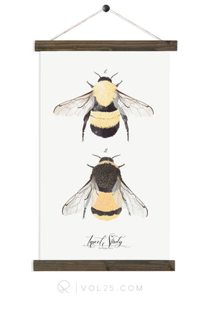 Insect Study Bumble Bee | unique wall hanging art | more options