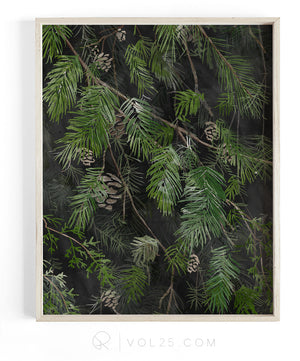 Black Pine | Textured Cotton Canvas Art Print | VOL25