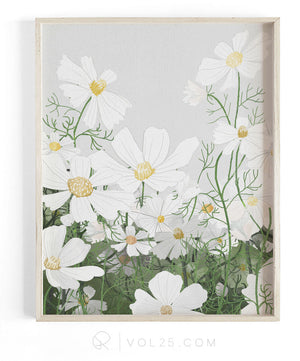 Cosmos In Bloom | Textured Cotton Canvas Art Print | VOL25