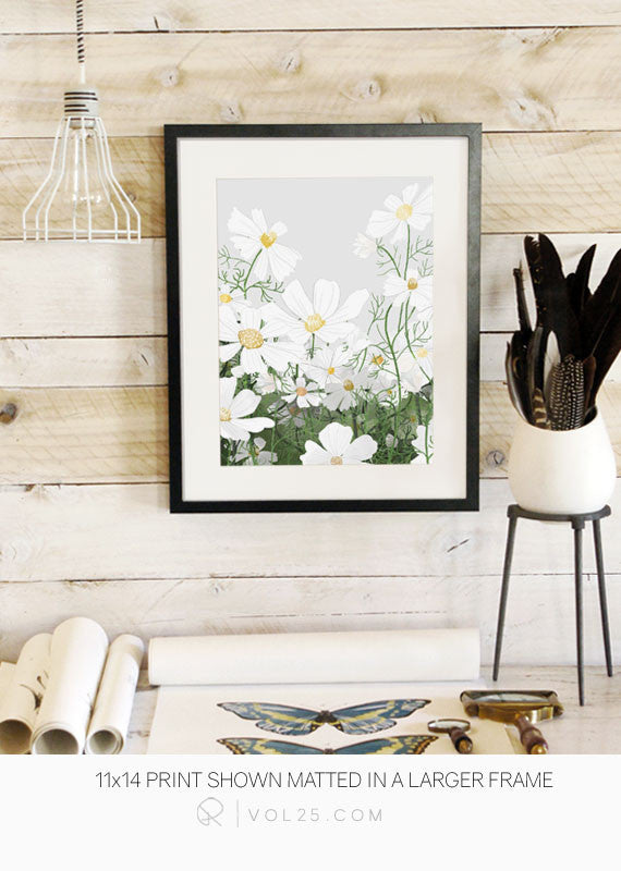 Cosmos In Bloom | Textured Cotton Canvas Art Print | VOL25