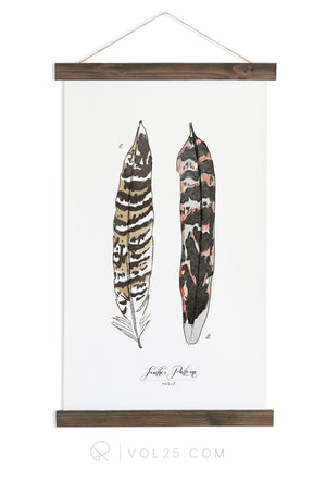Feather Patterns Vol.2 | Scientific Canvas Wall hanging | more options VPC102 - vol25
