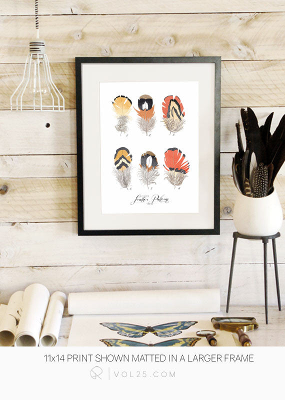 Feather Patterns Vol.3 | Scientific Textured Cotton Canvas Art Print in 4 Sizes | VOL25 - vol25