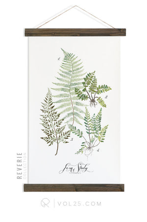 Fern Study Vol.1 | Reverie Collection Scientific Canvas Wall hanging | more options VPR08 - vol25