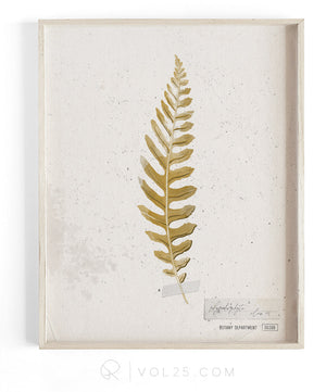 Golden Fern Study vol.2 | Textured Cotton Canvas Art Print, several sizes | VOL25