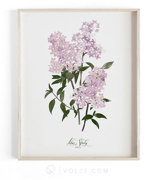 Lilac Study | Textured Cotton Canvas Art Print, several sizes | VOL25