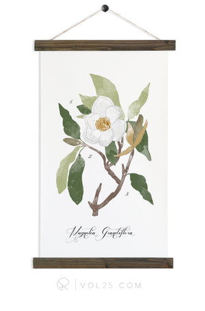 Magnolia Study | unique wall hanging art | More options