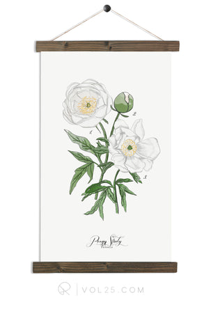 Peony Study White |  unique wall hanging art | more options