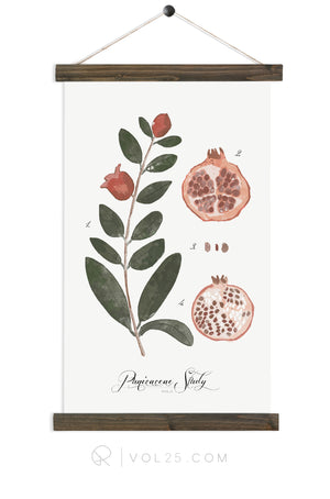 Pomegranate Study | Canvas Wall Hanging | More options