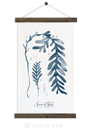 Seaweed Study Vol1 | unique wall hanging art | More options
