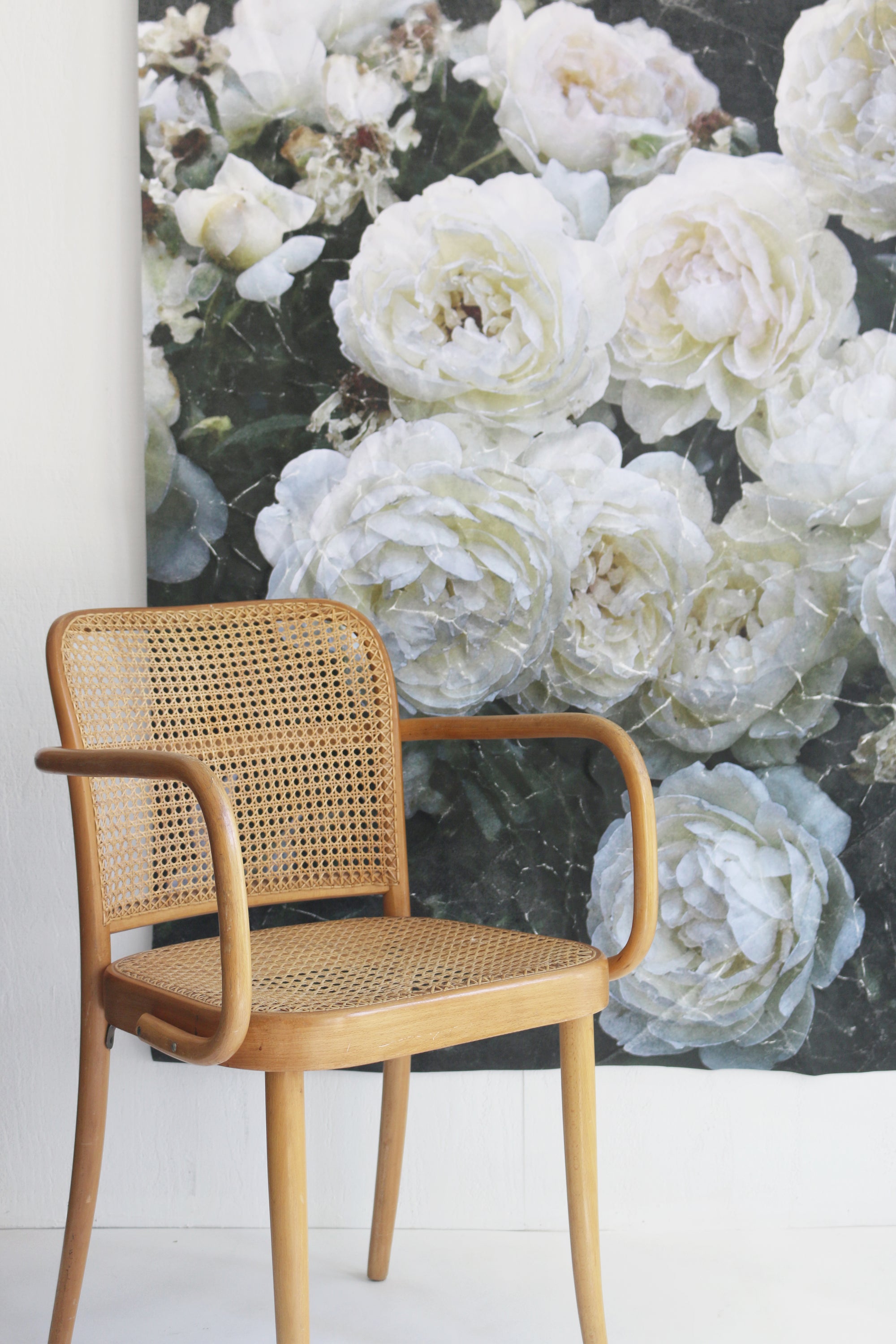 Twilight |  Canvas Hand Distressed Tapestry | more options