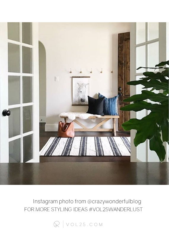 Wanderlust / Size: MINI Classic Trim